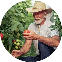 Organic Farming - 亿万28